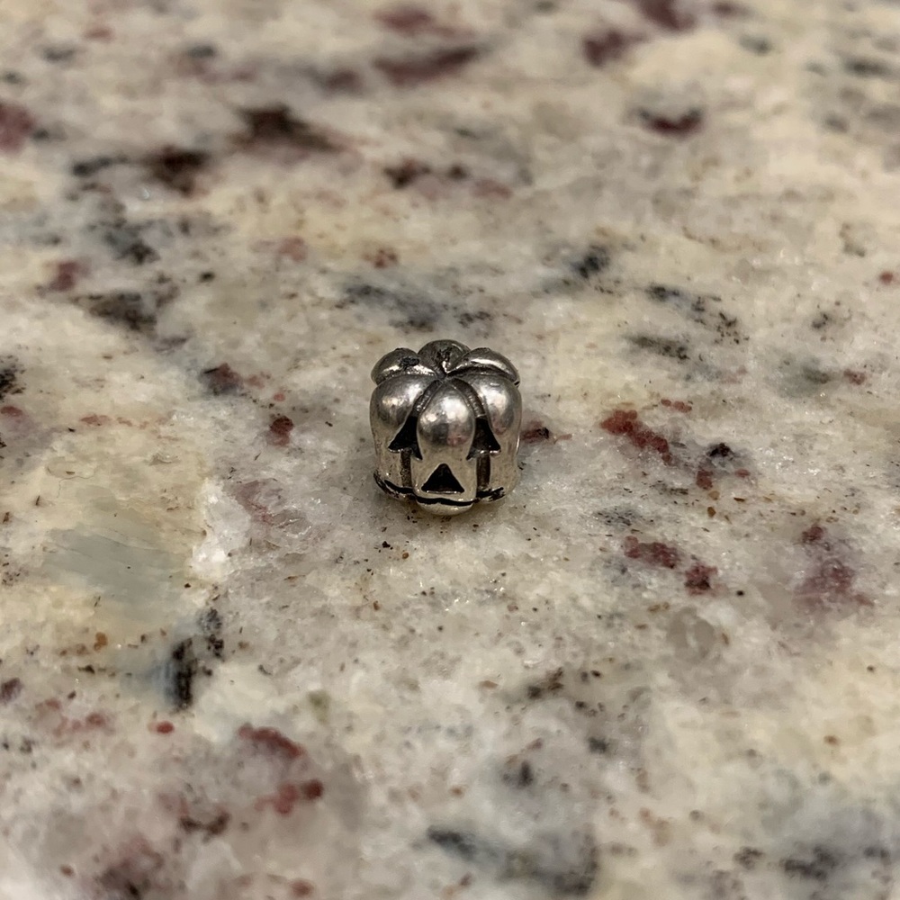 Pandora Bracelet Charms